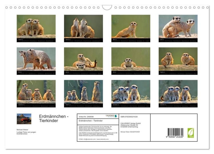 Produktbild: Erdm&auml;nnchen - Tierkinder (Wandkalender 2027 DIN A3 quer), CALVENDO Monatskalender