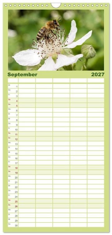 Produktbild: Familienplaner 2027 - INSEKTEN - Makrofotografie in freier Natur mit 5 Spalten (Wandkalender, 21 x 45 cm) CALVENDO