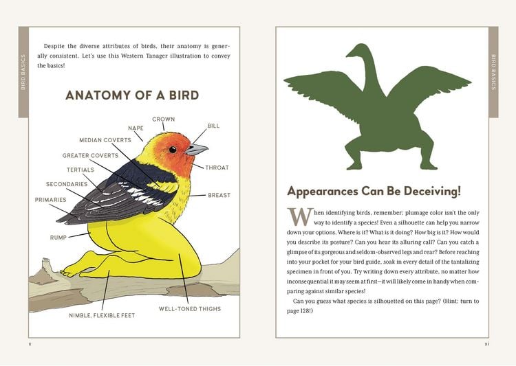 Produktbild: Extremely Accurate Birds