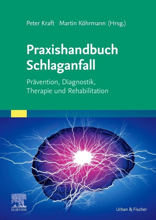 Produktbild: Praxishandbuch Schlaganfall