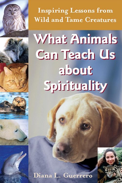 Produktbild: What Animals Can Teach Us About Spirituality
