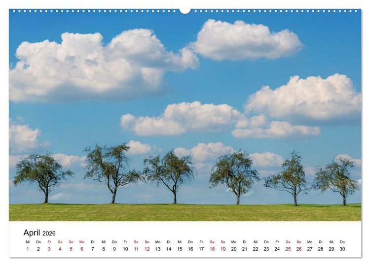 Produktbild: B&auml;ume - Wunder der Natur (hochwertiger Premium Wandkalender 2026 DIN A2 quer), Kunstdruck in Hochglanz