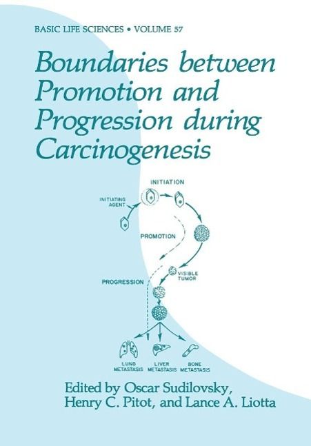 Produktbild: Boundaries between Promotion and Progression during Carcinogenesis