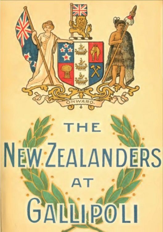 Produktbild: New Zealanders At Gallipoli [illustrated Edition]