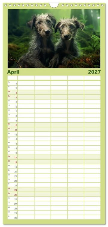 Produktbild: Familienplaner 2027 - Lurcher Portraits - Zwei Welpen entdecken die Welt mit 5 Spalten (Wandkalender, 21 x 45 cm) CALVENDO