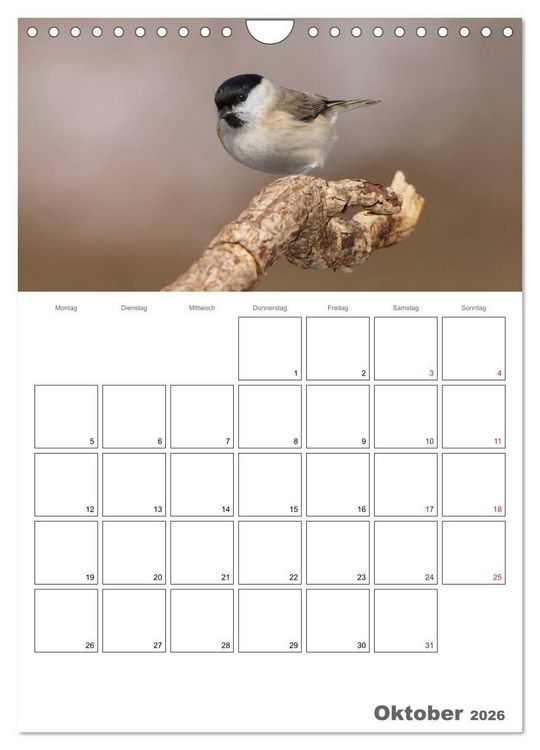 Produktbild: V&ouml;gel im heimischen Garten (Wandkalender 2026 DIN A4 hoch), CALVENDO Monatskalender