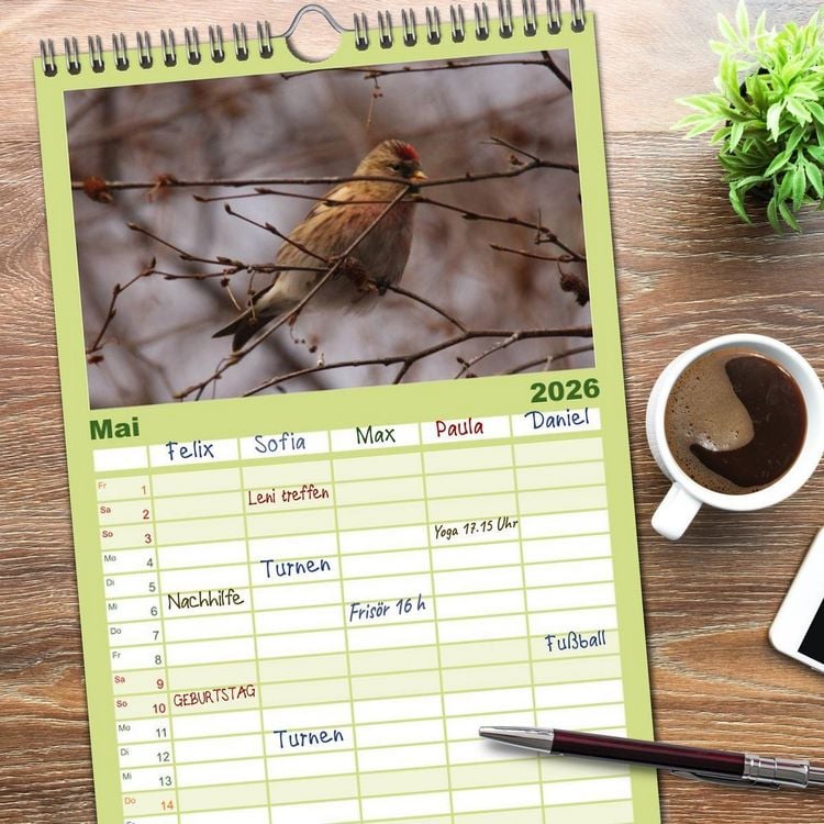 Produktbild: Familienplaner 2026 - Die farbenfrohe Welt der Finken mit 5 Spalten (Wandkalender, 21 x 45 cm) CALVENDO