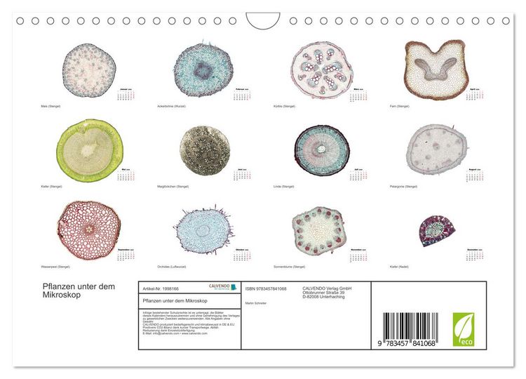 Produktbild: Pflanzen unter dem Mikroskop (Wandkalender 2026 DIN A4 quer), CALVENDO Monatskalender