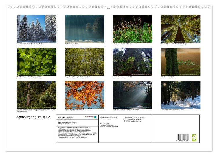 Produktbild: Spaziergang im Wald (Wandkalender 2027 DIN A2 quer), CALVENDO Monatskalender