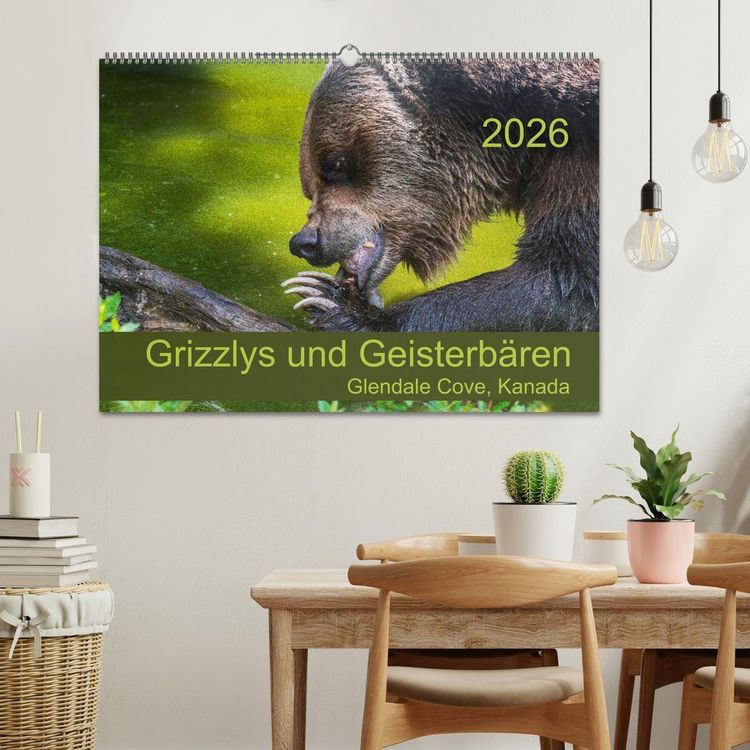 Produktbild: Grizzlys und Geisterb&auml;ren - Glendale Cove, Kanada (Wandkalender 2026 DIN A2 quer), CALVENDO Monatskalender