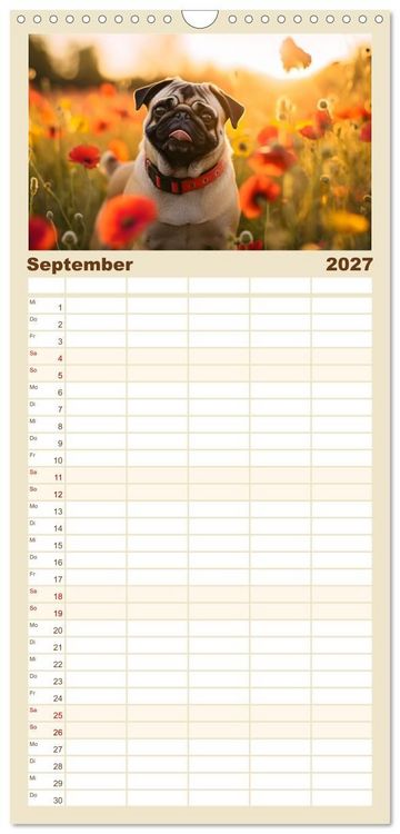 Produktbild: Familienplaner 2027 - Lustige Mops-Hunde: Die charmanten Meister von Chaos und Unfug mit 5 Spalten (Wandkalender, 21 x 45 cm) CALVENDO