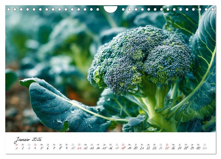 Produktbild: Gem&uuml;segarten - Gem&uuml;se aus dem eigenen Garten (Wandkalender 2026 DIN A4 quer), CALVENDO Monatskalender