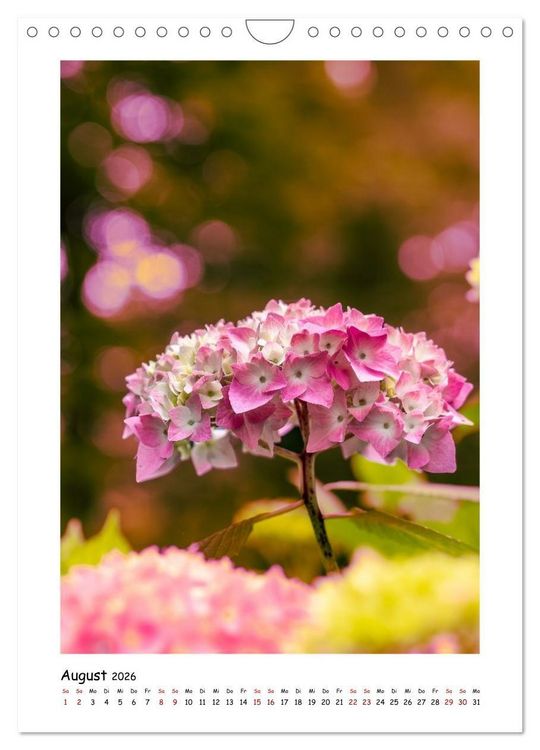 Produktbild: Bubble Bokeh (Wandkalender 2026 DIN A4 hoch), CALVENDO Monatskalender