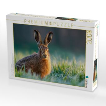 Produktbild: CALVENDO Puzzle Feldhase im Morgentau auf der Wiese | 2000 Teile Lege-Gr&ouml;&szlig;e 90x67cm Foto-Puzzle f&uuml;r gl&uuml;ckliche Stunden
