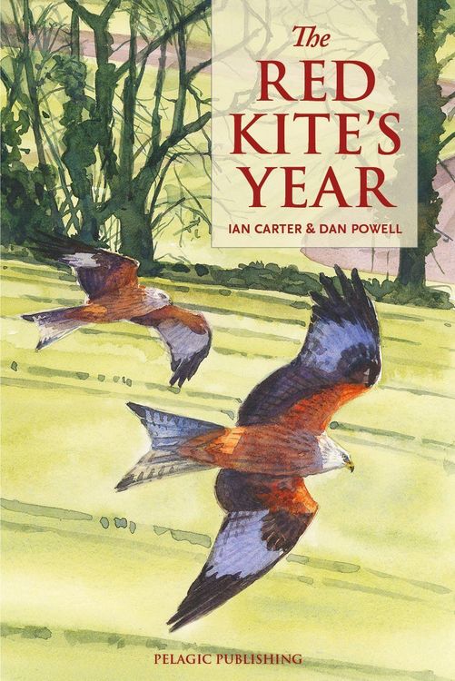 Produktbild: The Red Kite's Year