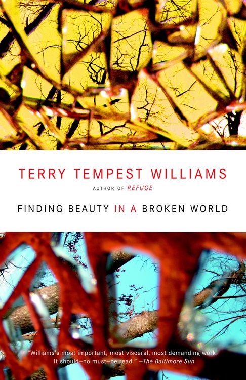 Produktbild: Finding Beauty in a Broken World