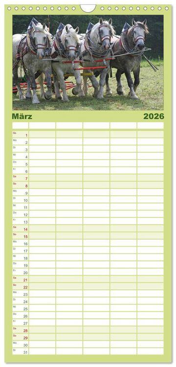 Produktbild: Familienplaner 2026 - Starke Pferde bei der Arbeit mit 5 Spalten (Wandkalender, 21 x 45 cm) CALVENDO