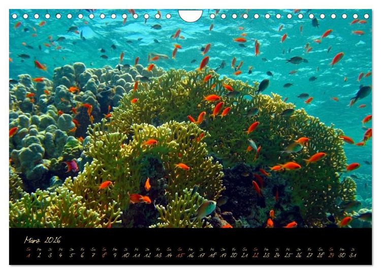 Produktbild: &Auml;gypten - Eine Entdeckungsreise (Wandkalender 2026 DIN A4 quer), CALVENDO Monatskalender