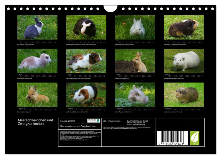 Produktbild: Meerschweinchen und Zwergkaninchen (Wandkalender 2026 DIN A4 quer), CALVENDO Monatskalender