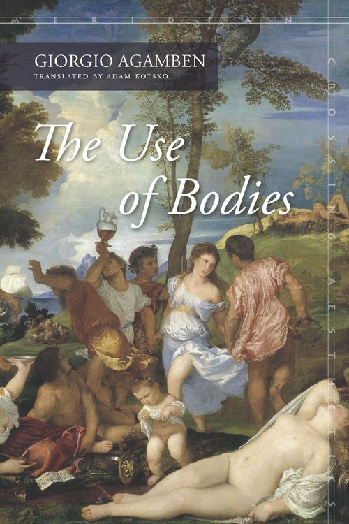 Produktbild: The Use of Bodies