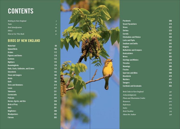 Produktbild: Birds of New England