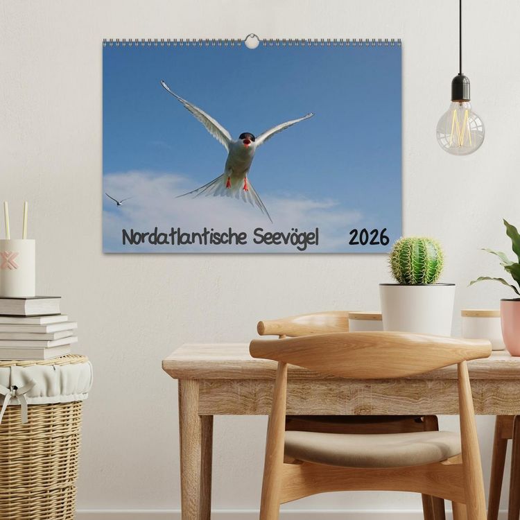 Produktbild: Nordatlantische Seev&ouml;gel (Wandkalender 2026 DIN A3 quer), CALVENDO Monatskalender