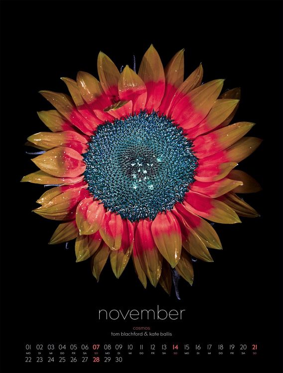 Produktbild: in bloom Kalender 2027