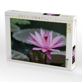Produktbild: CALVENDO Puzzle Februar | 1000 Teile Lege-Gr&ouml;&szlig;e 64x48cm Foto-Puzzle f&uuml;r gl&uuml;ckliche Stunden