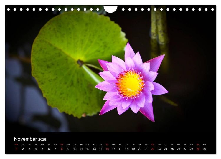 Produktbild: Tropenparadies Thailand 2026 (Wandkalender 2026 DIN A4 quer), CALVENDO Monatskalender