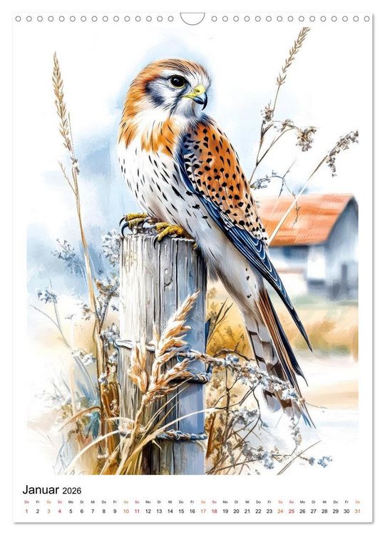 Produktbild: V&ouml;gel - gefiederte Freunde in Wald und Feld (Wandkalender 2026 DIN A3 hoch), CALVENDO Monatskalender