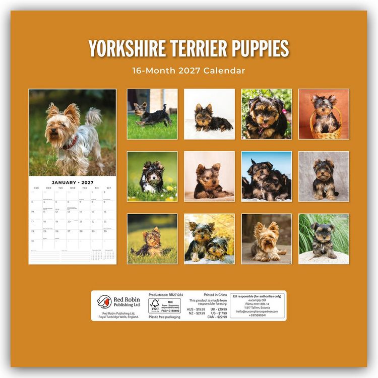 Produktbild: Yorkshire Terrier Puppies &ndash; Yorkshire Terrier Hundewelpen 2027 &ndash; 16-Monatskalender