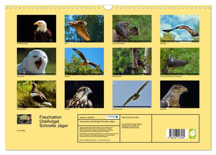 Produktbild: Faszination Greifv&ouml;gel Schnelle J&auml;ger (Wandkalender 2026 DIN A3 quer), CALVENDO Monatskalender