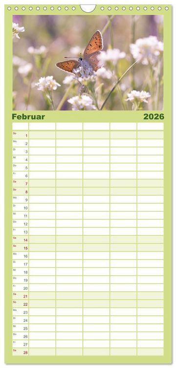 Produktbild: Familienplaner 2026 - Schmetterlinge. Schimmernde Zauberwesen mit 5 Spalten (Wandkalender, 21 x 45 cm) CALVENDO