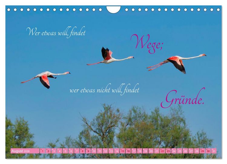 Produktbild: The Power Of Pink (Wandkalender 2026 DIN A4 quer), CALVENDO Monatskalender
