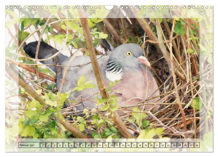 Produktbild: Zauberhaftes Nestgefl&uuml;ster (Wandkalender 2027 DIN A3 quer), CALVENDO Monatskalender