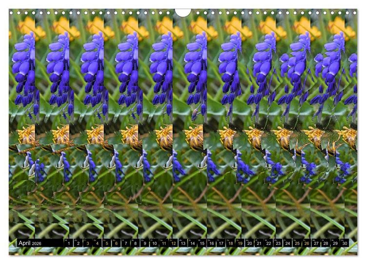 Produktbild: Magische Bilder - Stereogramme und 3D-Illusionen (Wandkalender 2026 DIN A3 quer), CALVENDO Monatskalender