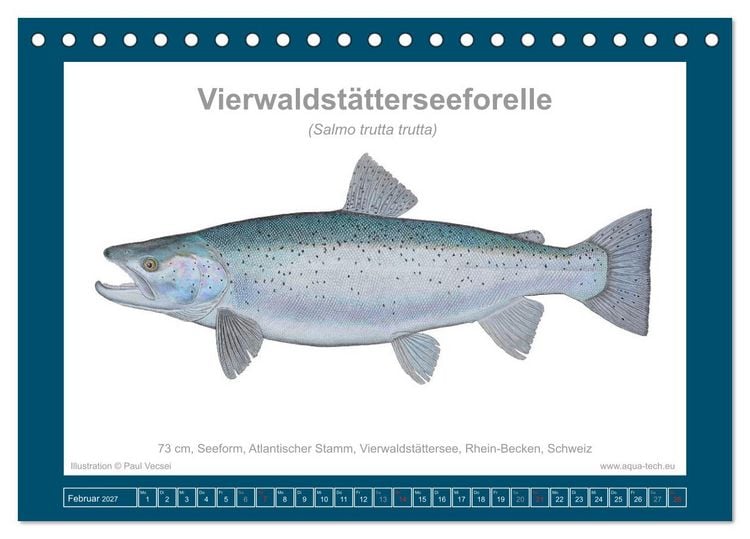 Produktbild: Fisch als Kunst 2027: Seeforellen (Tischkalender 2027 DIN A5 quer), CALVENDO Monatskalender