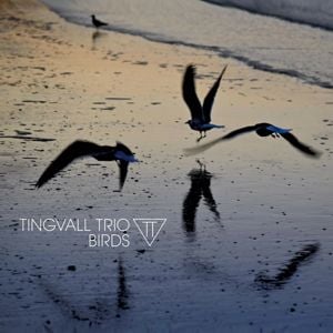 Produktbild: Birds (180 Gr. Black Vinyl)