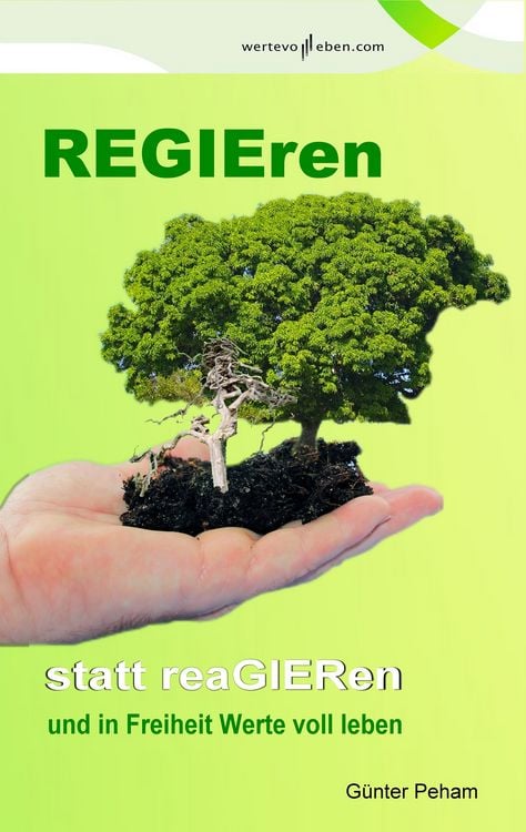 Produktbild: Regieren statt reagieren