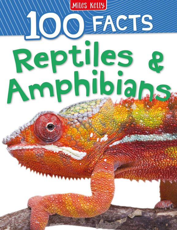 Produktbild: Kelly, M: 100 Facts Reptiles & Amphibians