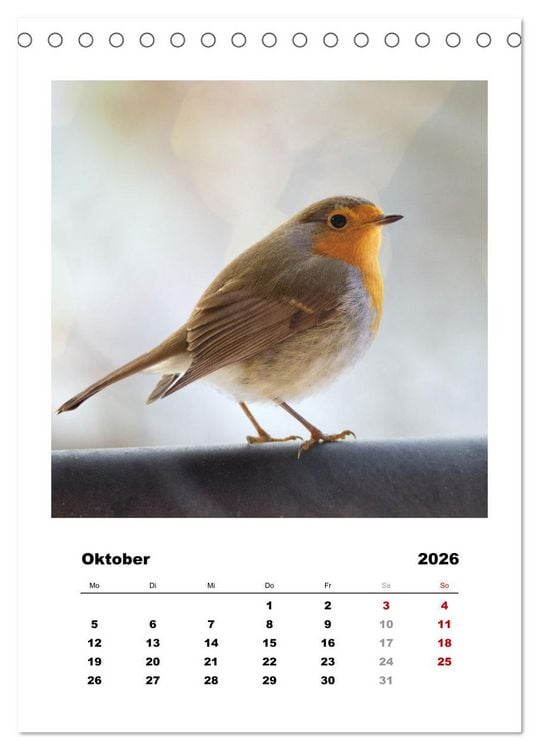 Produktbild: Rotkehlchen, s&uuml;&szlig;e kleine Knutschkugeln (Tischkalender 2026 DIN A5 hoch), CALVENDO Monatskalender