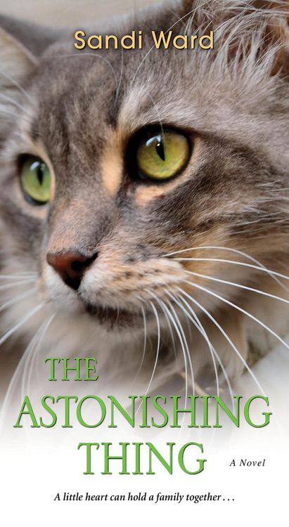 Produktbild: The Astonishing Thing