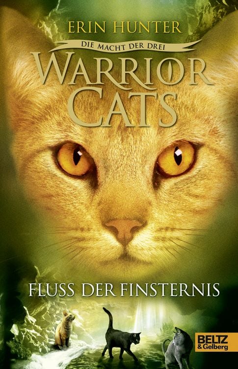Produktbild: Warrior Cats 3/02: Die Macht der drei. Fluss der Finsternis