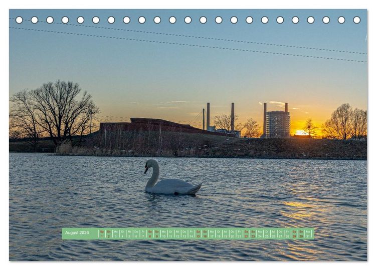 Produktbild: Wolfsburg - einfach tierisch (Tischkalender 2026 DIN A5 quer), CALVENDO Monatskalender