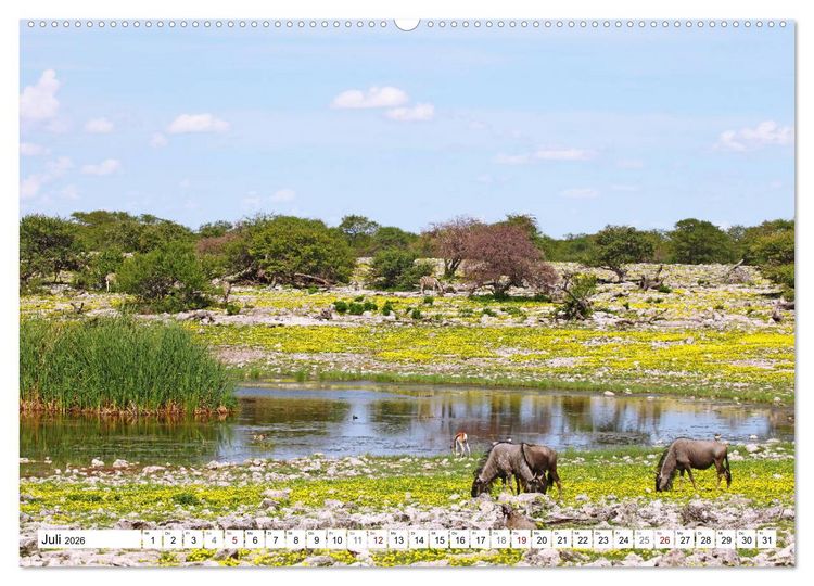 Produktbild: Namibia - Weite sp&uuml;ren (hochwertiger Premium Wandkalender 2026 DIN A2 quer), Kunstdruck in Hochglanz