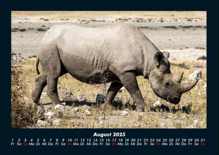 Produktbild: Tiere im Zoo 2025 Fotokalender DIN A4