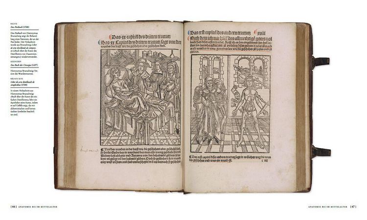 Produktbild: Die Geschichte der Anatomie