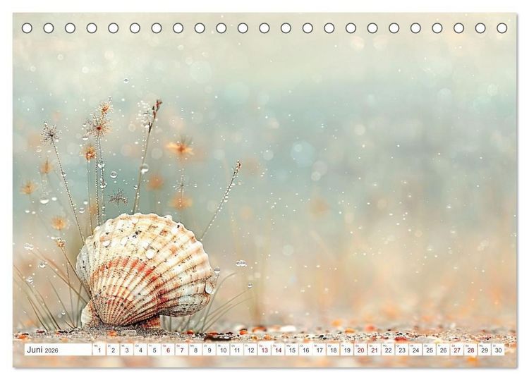 Produktbild: Sandgefl&uuml;ster und Muschelzauber (Tischkalender 2026 DIN A5 quer), CALVENDO Monatskalender