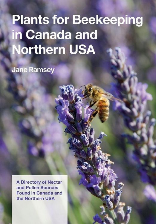 Produktbild: Plants for Beekeeping In Canada and the Northern USA