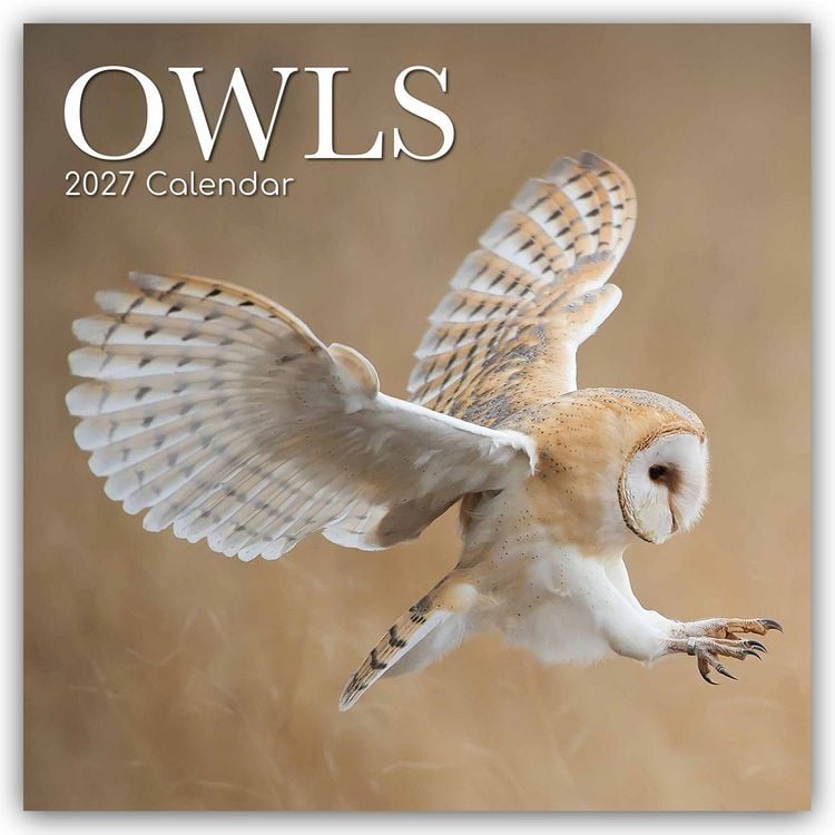 Produktbild: Owls &ndash; Eulen 2027 &ndash; 16-Monatskalender